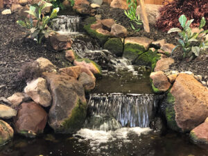 Picture of waterfall in backyard